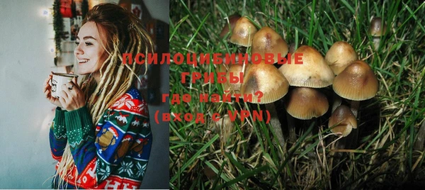 СК Надым