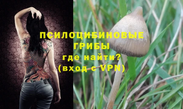 mix Нея