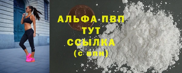 СК Надым