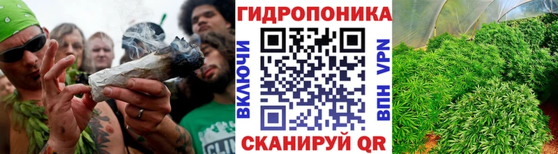 Бошки Шишки планчик  Купить где  Ряжск 